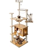 Amazon | 「2026年の新スタイル」Nonta キャットタワー 木製 大型猫用