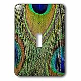 3drose Danita Delimont – Feathers – オスPeacock表示Tail Feathers 01 – 照明スイッチカバー – シングルトグルスイッチ( LSP _ 250