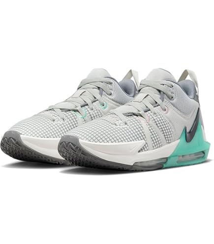 Amazon.co.jp: NIKE ナイキ 28.0cm レブロン ウィットネス 7