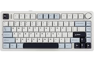 EPOMAKER x Aula F75 ゲーミングキーボード ガスケット メカニカルキーボード 5層パッド＆ノブ付き 75% ワイヤレス ホットスワッパブル Bluetooth/2.4GHz/USB-C RGB