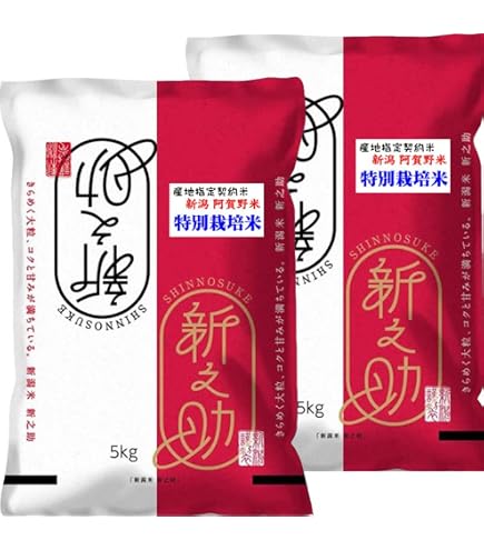 新潟県産新之助5㎏×2袋（令和6年産） 【公式通販】