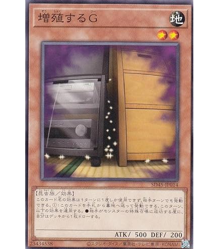 遊戯王 No. 637 本格構築 エクソシスター デッキ 灰流うらら 遊戯王 No. 637 本格構築 エクソシスター デッキ 灰流うらら