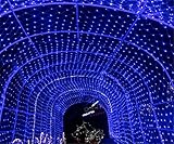 LUCKY CLOVER-A LEDメッシュライトストリング防水6m x 4m 880 LED妖精のテールアウトドアパーティークリスマスウェディングホームガーデンデコラ8（カスタマイズ可能）、カップル