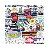 61枚入 for パタゴニア ステッカー セット FOR パタゴニア 防水シール PVC ステッカー アウトドアキャンプスポーツタイドブランドステッカー ギター 手帳 車 バイク 自転車 ヘルメット パソコン 携帯 ノートなど適用 (61枚入)