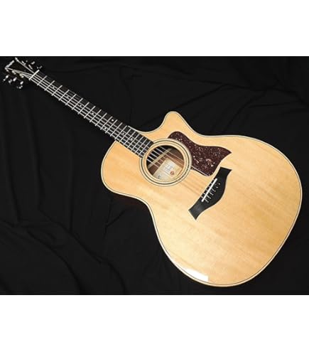 Amazon | Taylor 314ce V-Class 【エレアコ】 テイラー
