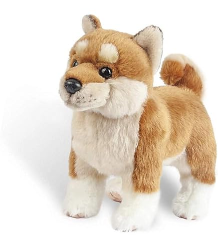 Amazon.co.jp: シュタイフ2021年アジア・日本限定1500体柴犬 Baby