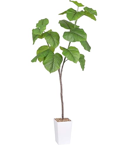 人工観葉植物 フェイクグリーン 【光触媒】 アーバンウンベラータ1.8m