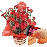 母の日 ギフト カーネーション　鉢植え　5号鉢（レッド） ときめいて苺ケーキ セット