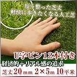 Liebe【リーベ】 人工芝 芝丈20mm 2m×5m ［22.0kg／10平米］+ U字ピン12本 『パークシア・エコノミー』