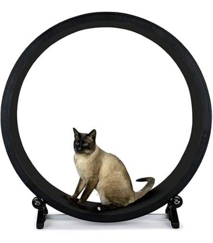 Amazon | 猫用トレッドミル キャットホイール 猫 回し車 ABS素材 120cm