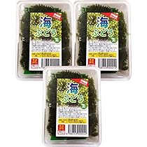 Amazon | 生 海ぶどう 【茎付き2㎏（250g×8）】茎が多いB品です