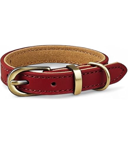 Amazon | アースペットTK DS係留平革首輪 30(大型犬用) 青 | アース