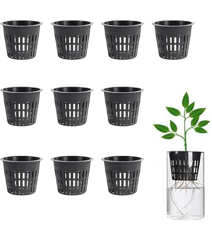 Amazon.co.jp: Teensery 10個 ガーデンネットカップ プラスチック 穴