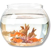 61F76iSfQhL._AC_UL210_SR210,