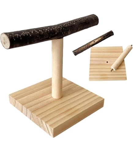 Amazon | SASATO インコ 止まり木 スタンド T字止まり木 天然木 鳥