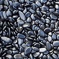 高級玉砂利 黒光石(彩光石)自然玉 3分(7mm～12mm) 小袋 800g