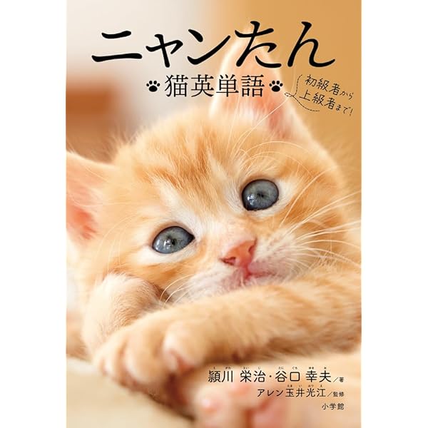 ねこたん ねこの英単語 | ジャパンタイムズ |本 | 通販 | Amazon