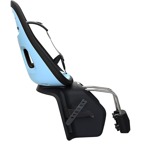 Amazon.co.jp: THULE(スーリー) Thule Yepp Nexxt Maxi Frame