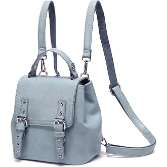 Backpack Handbags