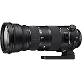 SIGMA 150-600mm F5-6.3 DG OS HSM | Sports S014 | Nikon F-FXマウント | Full-Size/Large-Format