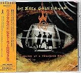 �s�N�`���[�E�I�u�E1,000�t�F�C�Z�Y