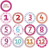 ダイヤコーポレーション 月齢フォトステッカー キュートピンク