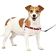 PetSafe イージーウォークハーネス (S, レッド＆ブラック)