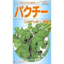 Amazon | カネコ種苗 パクチー (コリアンダー・香菜(シャンツァイ)) | 花