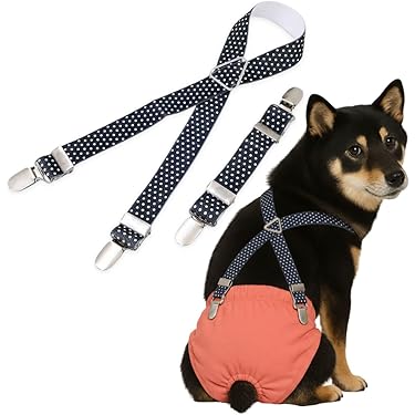 Amazon.co.jp 最新リリース: 犬用服・アクセサリ の新着ランキングです。