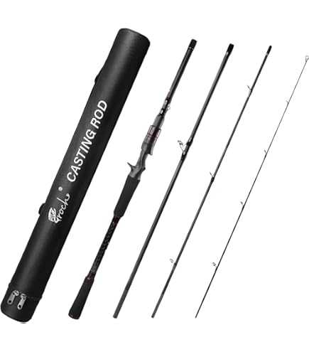 DAIWA PRIME SURF T #30-425-W Fishing Rod 4.25m Surf Rod : Amazon