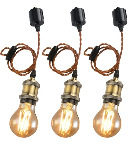 Amazon.co.jp: LVWIT ペンダントライト E26口金 LED電球付き 