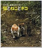 猫とねことネコ 写真集 孤独な社交家