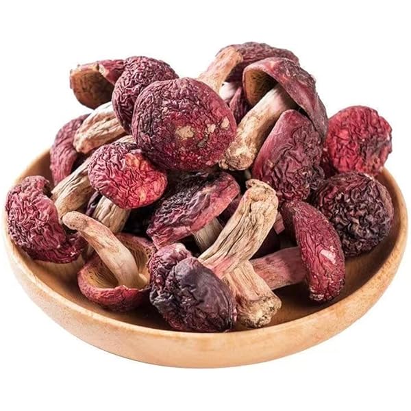 マジック・マッシュル-ム完全栽培マニュアル: 究極の合法ドラッグを誰