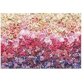 輸入壁紙 Intense アンタンス 8-965/サイズ：368×254cm/Z3K