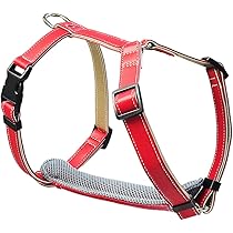 Peruvian Red スペイン製 高級犬用リード(2m) （小型犬　中型犬） Peruvian Red スペイン製 高級犬用リード(2m) （小型犬 中型犬）