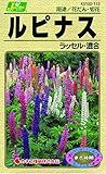 カネコ種苗 草花タネ113 ルピナス ラッセル 混合 10袋セット