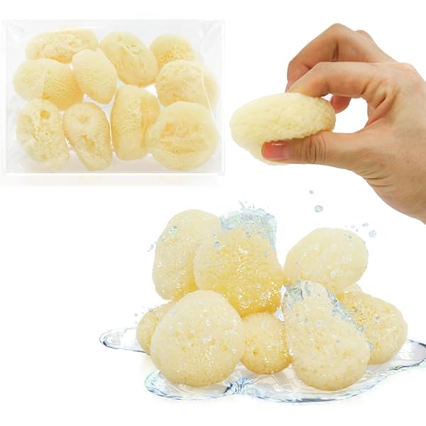 Amazon.co.jp: トイズファンの天然海綿 女性用 海外直輸入品 パフ