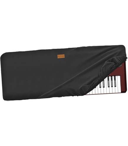 最終値下げ❗️KORG Pa1000 アレンジャーキーボード Pa1000 - PROFESSIONAL ARRANGER | KORG (Japan)