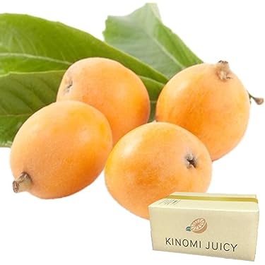 Amazon.co.jp 売れ筋ランキング: びわ の中で最も人気のある商品です