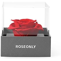 新品未開封 テディデキャンタ ローズ Roseブランデー 箱付 入手困難 テディデキャンタ | 酒・ブランデーの通販|株式会社酒匠
