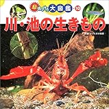 超はっけん大図鑑〈10〉川・池の生きもの (超はっけん大図鑑 (10))