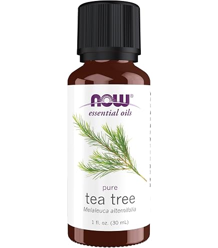 Amazon.co.jp: ティートゥリー精油[30ml] 【正規輸入品】 NOW