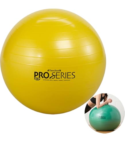 ダンノ空気入れ送料込み Amazon | DANNO(ダンノ) 空気入れ Wアクションポンプ D7210 直径4.5×長