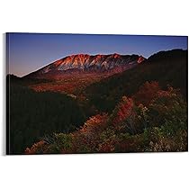 風景画　壁掛け　K.Ogi 風景画 壁掛け K.Ogi Amazon.com : Loccor 8x6ft Fabric Chinese