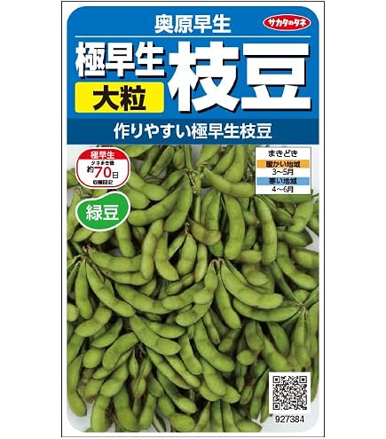 Amazon.co.jp: タキイ種苗 丹波黒大粒大豆 種 種子 タネ 黒大豆 枝豆