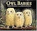 Owl Babies