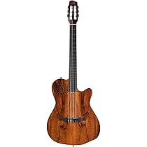 Amazon | GODIN (ゴダン) ナイロンギター エレガットギター ACS