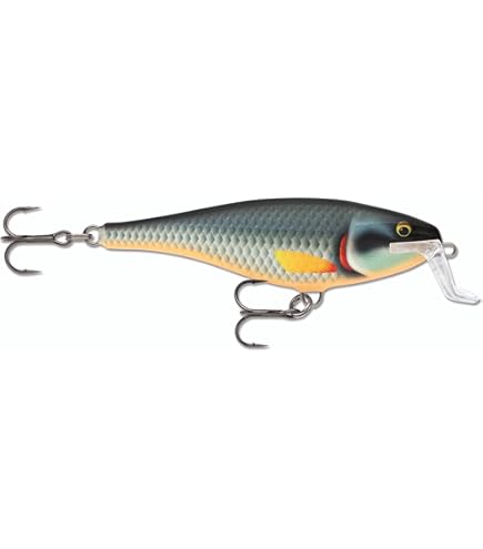 Amazon.co.jp: ラパラ(Rapala) スーパーシャッドラップ SSR14 14cm 45g