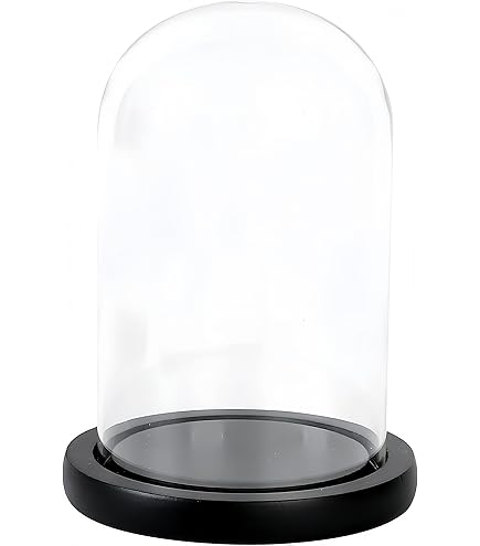 【特価商品】パセオ ウッドガラスドーム ブラック 18.5×18.5×27cm Amazon.co.jp: パセオ ウッドガラスドーム ブラック 18.5×18.5×27cm EX