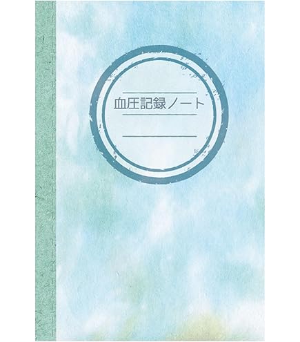 Amazon.co.jp: 成田空港手帳 2023 手帳 飛行機 成田空港 紙飛行機